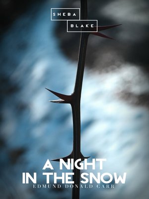 cover image of A Night in the Snow